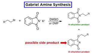 Gabriel Amine Synthesis [upl. by Aivatahs831]