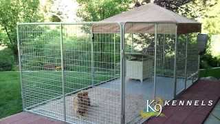 Dog Kennel Ideas  K9 kennel store [upl. by Josephina]