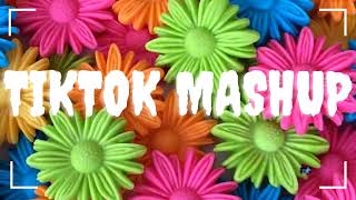 TikTok Mashup March 2022 Not Clean [upl. by Coussoule]