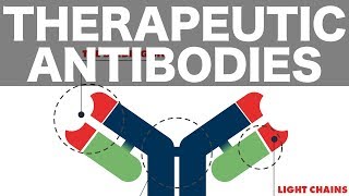 Therapeutic Monoclonal Antibodies [upl. by Anicnarf]