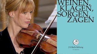 JS Bach  Cantata BWV 12 quotWeinen Klagen Sorgen Zagenquot JS Bach Foundation [upl. by Bela]