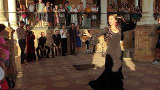 Flamenco dance group in Plaza de España Sevilla September 2019 [upl. by Omle]