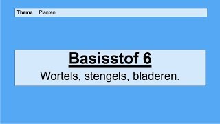 VMBO 4  Planten  Basisstof 6 Wortels stengels en bladeren [upl. by Acassej]