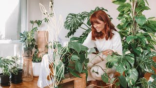 make your house plants thrive 🌿indoor plants care tips amp hacks [upl. by Karia]