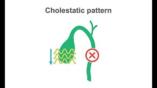 Hematology  Introduction  Hematopoiesis Lets Make RBCs WBCs and Platelets Hematology Playlist [upl. by Nolly]