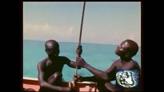 2018  Indian Ocean  North Sentinel Island  The Most Isolated Stone Age Tribe in the World  2311 [upl. by Derr]