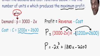 Optimization  Maximum Profit [upl. by Saxela]