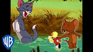 Tom amp Jerry in italiano  È di famiglia  WB Kids [upl. by Elvie]