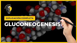 👉 Todo sobre la GLUCONEOGENESIS Paso a paso [upl. by Charlene]