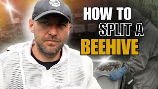 How To Split A Beehive [upl. by Eecart82]