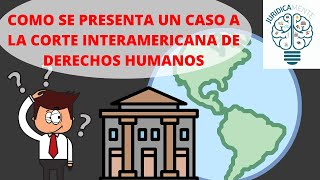 COMO PRESENTAR UN CASO A LA CORTE INTERAMERICANA DE DERECHOS HUMANOS [upl. by Aix759]