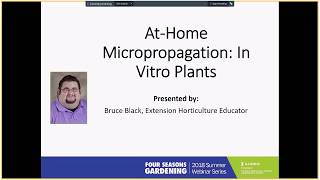 At Home Micropropagation In Vitro Plants  2018 Four Seasons Gardening Webinar [upl. by Kursh]