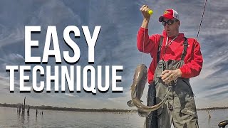 Fall Catfishing How To Catch Catfish Fast [upl. by Fleisher]