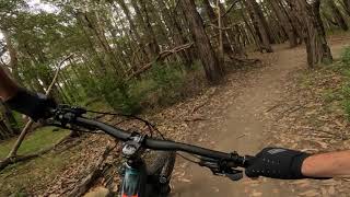 H2O MTB Trail at Westleigh NSW [upl. by Mannie]