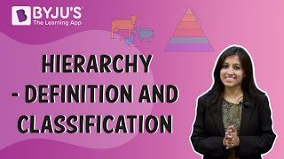 Hierarchy  Definition And Classification [upl. by Yenoh691]